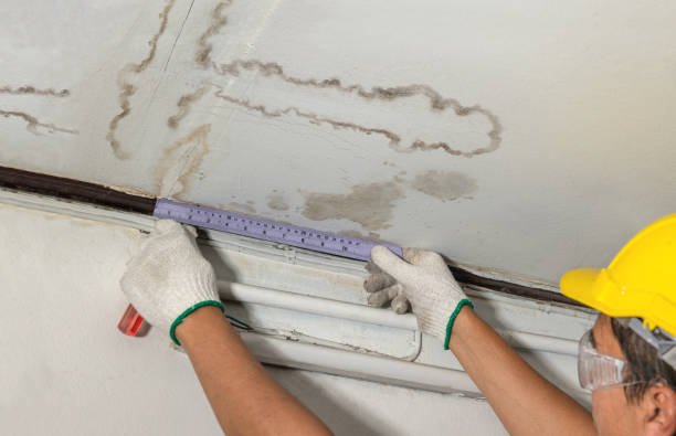 Reliable Structural Drying contractor in Rochester, WA by Water Damage Irwin
